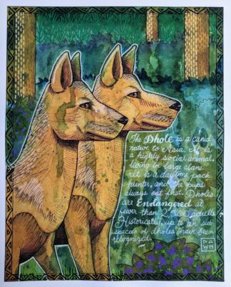 D is for Dhole watercolor painting