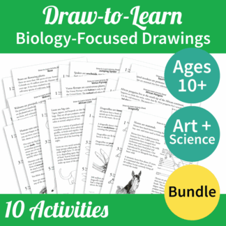 Bundle: 10 How-to-Draw 2-Sided Art & Biology Activity Sheets