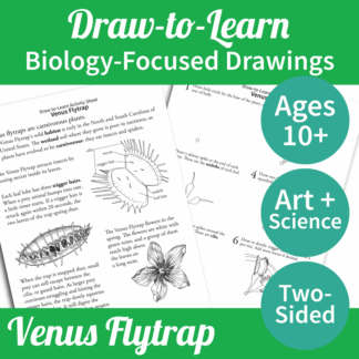 How to Draw a Venus Flytrap 2-Sided Art & Biology Activity Sheet