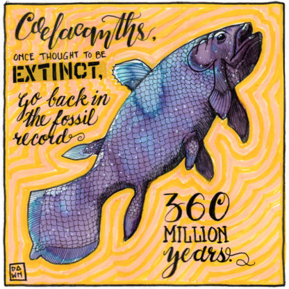 Coelacanths once thought extinct go back in the fossil record 360 million years