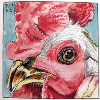 Rooster Portrait watercolor and ink drawing