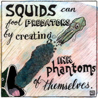 Squids can fool predators by creating ink phantoms of themselves