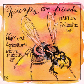 Wasps are friends. Many are pollinators and many eat agricultural pest insects