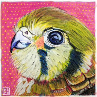 Kalli" American Kestrel ink painting