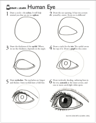 How to Draw a Human Eye Worksheet front