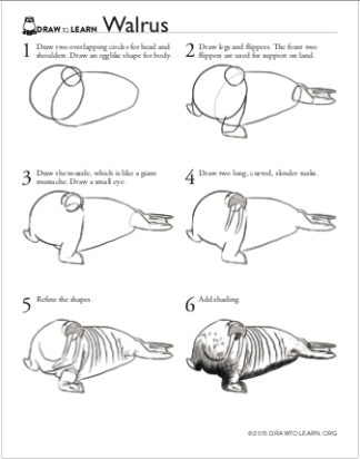 How to Draw a Walrus Worksheet front