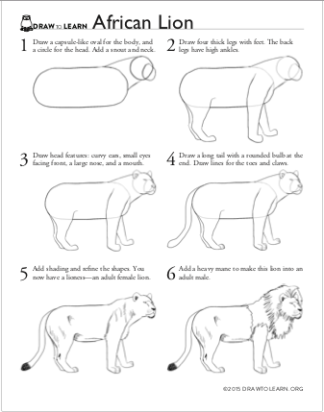 How to Draw an African Lion Worksheet back