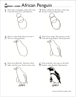 How to Draw an African Penguin Worksheet front