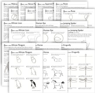 how-to-Draw 10-worksheet bundle