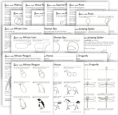 how-to-Draw 10-worksheet bundle