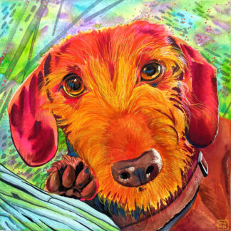 Vilda watercolor portrait of a dachshund
