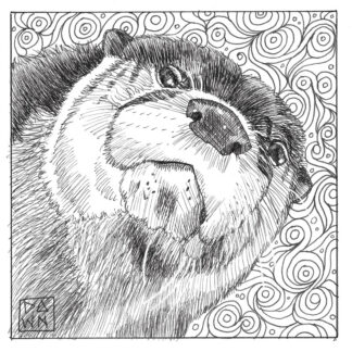 River Otter ink drawing