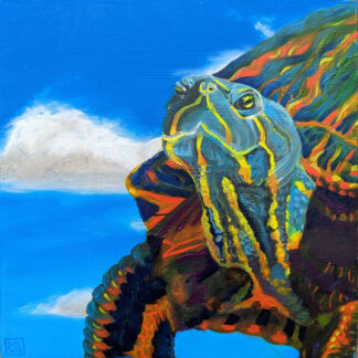 Turtle oil painting by Dawn Pedersen